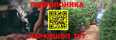 тгк Заволжье