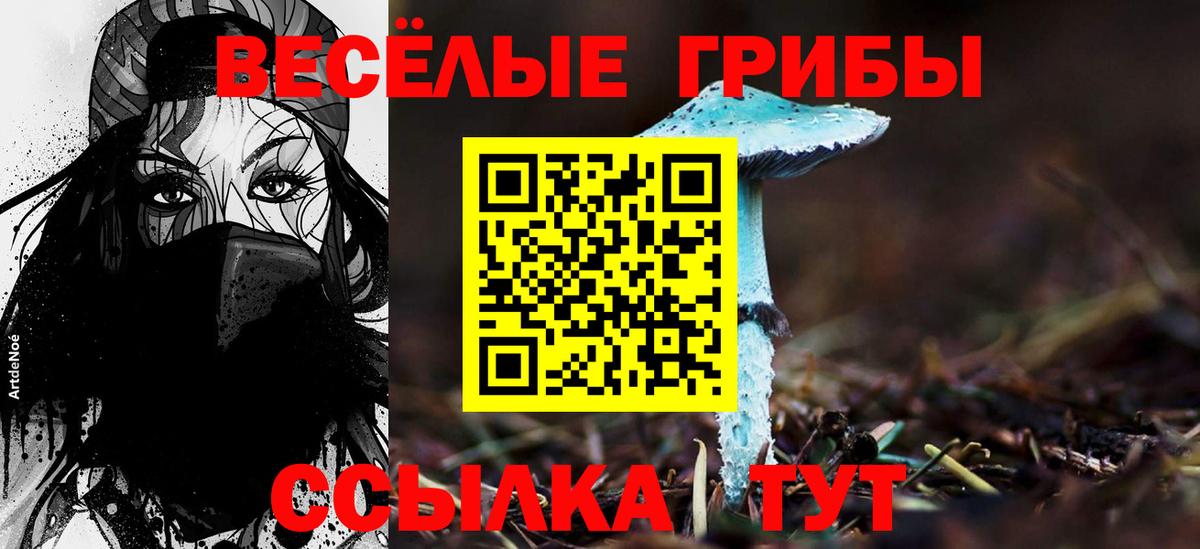 Лесосибирск  Псилоцибиновые грибы ЛСД  Вход с VPN 